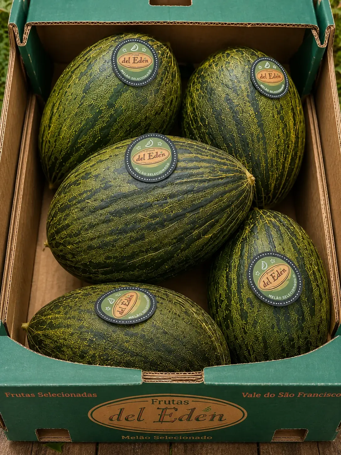 Embalagem Frutos del Edén com Melão Pele de Sapo
